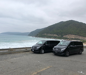 Chauffeured Wine Tours
